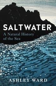 Cover von Saltwater